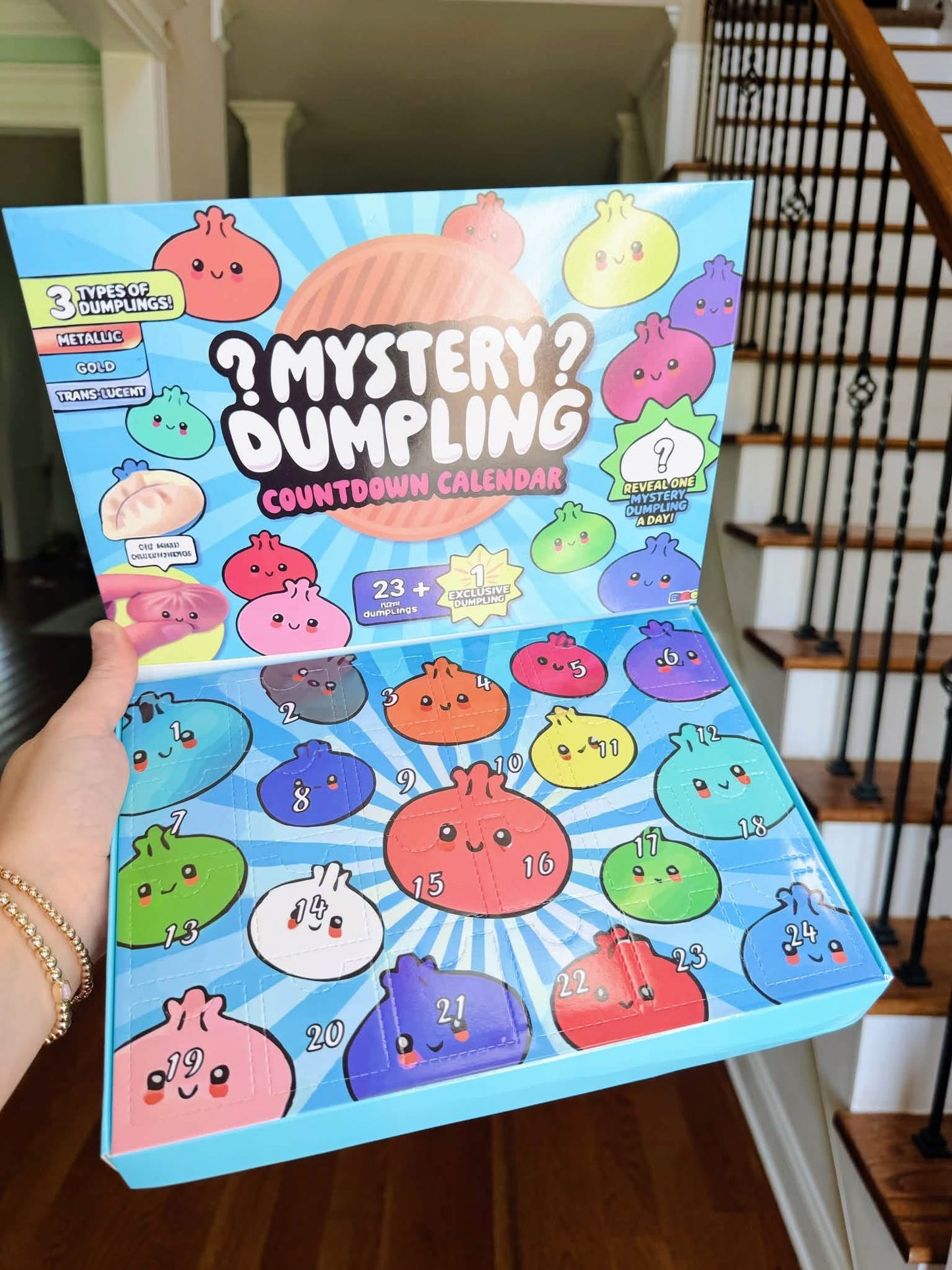 Dumpling Advent Calendar- ETA OCT